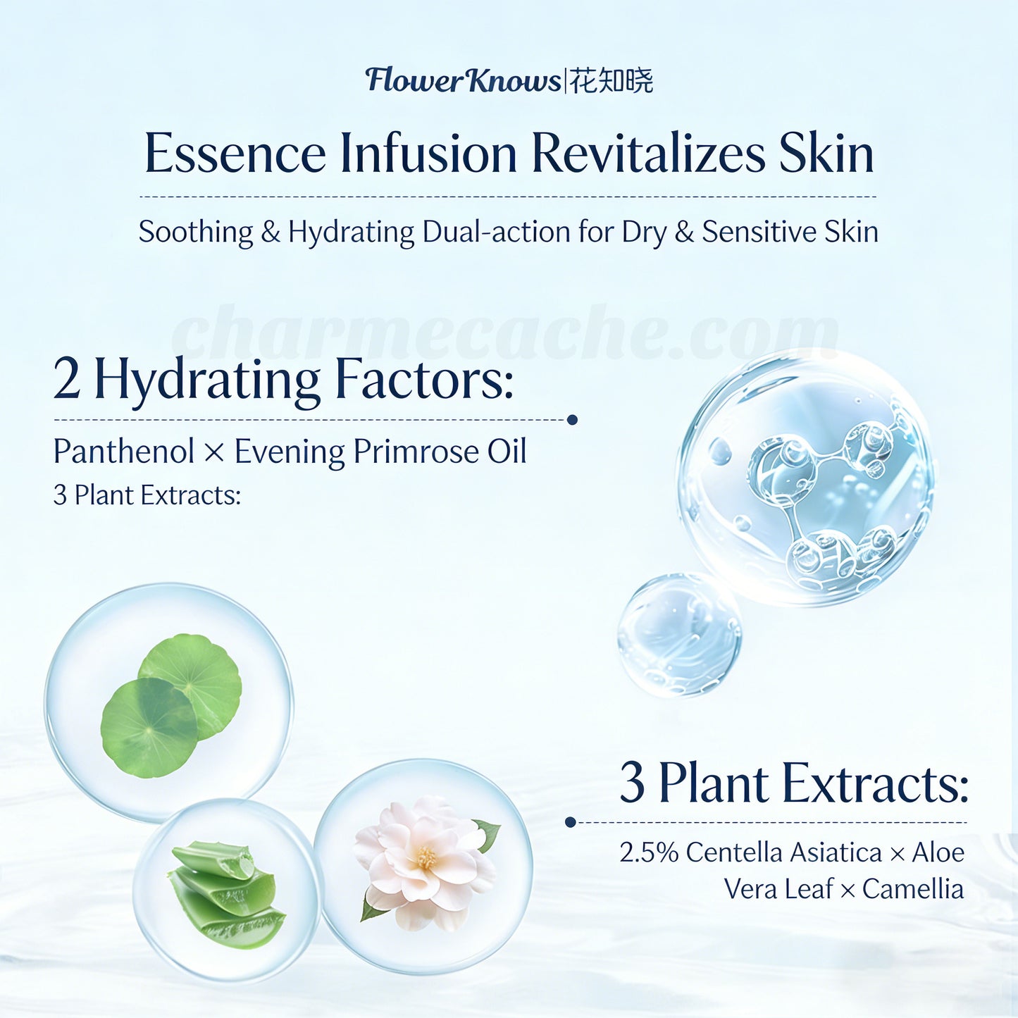 Flower Knows Shell's Jewel Radiance Primer